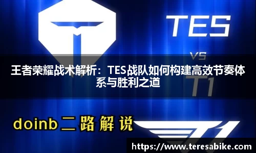 王者荣耀战术解析：TES战队如何构建高效节奏体系与胜利之道